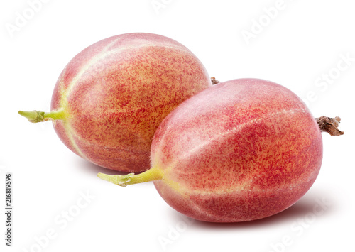 Fotografia, Obraz Fresh gooseberry isolated on white background. Clipping path