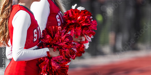 Cuadros en Lienzo Cheerleaders with pompoms during game