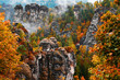 Sandstone rock tower in the deep autumn valley of national park Bohemian Switzerland