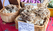 Maitake mushroom sold at farmer's market