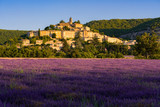 Fototapeta  - The village of Banon in Provence with lavender fields at sunrise. Summer in the Alpes-de-Hautes-Provence. Alps, France