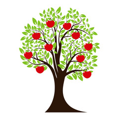 green tree silhouette. tree with apple fruit. isolated on white background. vector
