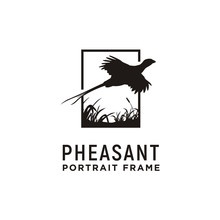 Beauty Flying Pheasant Bird Over The Grass Portrait Picture Frame Silhouette Logo Design