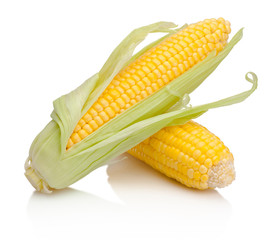 Wall Mural - Two corn cob isolated on white background