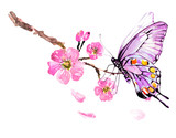 Fototapeta Motyle - sakura tree; watercolor, cherry bloom