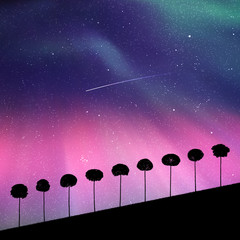 Sticker - Landscape with trees at night. Vector illustration with isolated silhouettes of maples growing on hill. Northern lights in starry sky. Colorful aurora borealis