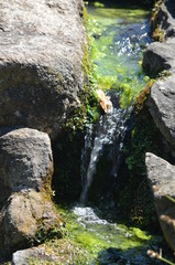 Canvas Print - macro stream river waterfall green stone