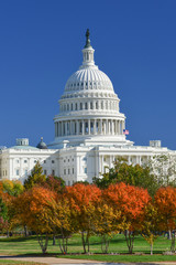 Wall Mural - United States Capitol Building in autumn - Washington DC United States of America