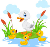 Fototapeta  - Mother duck swims with her three little cute ducklings in the pond