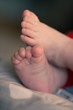 © egemen - cute baby feet