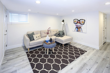 Cozy family room in a basement.