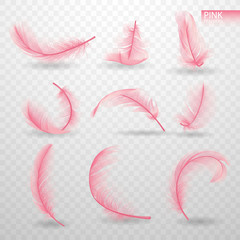Wall Mural - set of isolated falling pink fluffy twirled feathers on transparent background in realistic style. l