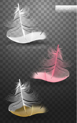 Wall Mural - isolated falling fluffy twirled feathers on transparent background in realistic style. vector illust