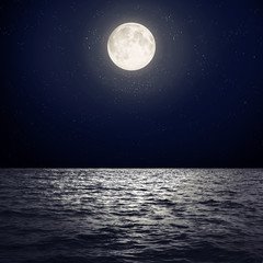 Wall Mural - moon