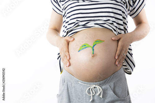 妊娠している女性のお腹に描いた新芽の絵 Stock Photo Adobe Stock