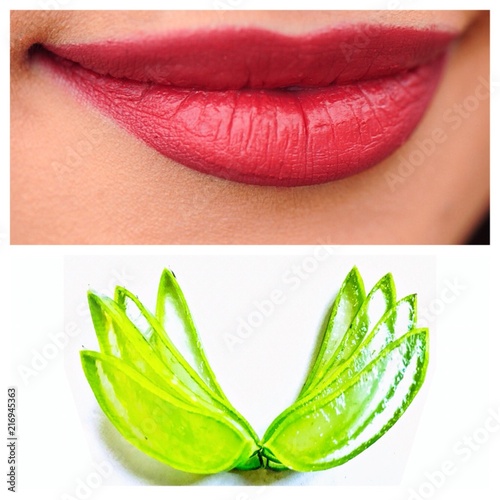 Fotografie, Obraz A beautiful symbol logo for body care or beauty care treatment that is made with