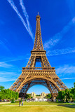 Fototapeta Boho - Paris Eiffel Tower and Champ de Mars in Paris, France. Eiffel Tower is one of the most iconic landmarks in Paris. The Champ de Mars is a large public park in Paris