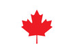 Maple leaf canada national symbol red shape flag