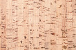 © evannovostro - Flat cork plank, background texture
