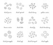 © Minur - Hand drawn outline detailed dried fruits.