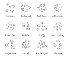 Hand drawn outline detailed dried fruits.