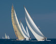 canvas print picture - French Riviera - old sail race in Cannes