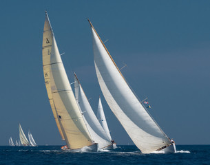 Wall Mural - French Riviera - old sail race in Cannes