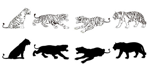 Wild animals silhouette, tiger