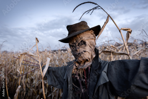 Fotomural Scary scarecrow in hat in cornfield