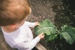 © Wavebreak Media - Boy holding plant leave in hand