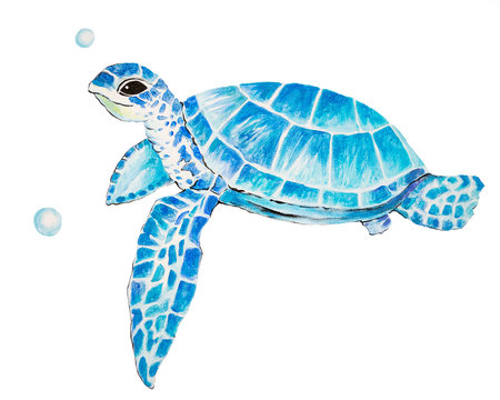 Fototapete - Big sea turtle watercolor painting, Sea life. watercolor sea turtle isolated on white background