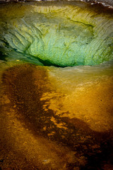 Wall Mural - Colorful hot spring in Yellowstone National Park