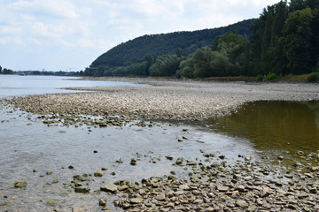 Canvas Print - Rhein bei extremem Niedrigwasser 2018, Andernach / Leutesdorf