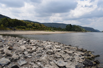 Wall Mural - Rhein bei Niedrigwasser 08/18 - Andernach-Namedy