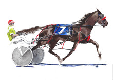 Horse Race Jokey Running Sport Activity Watercolor Painting Illustration Isolated On White Background