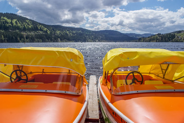 Wall Mural - Titisee Lake, Germany