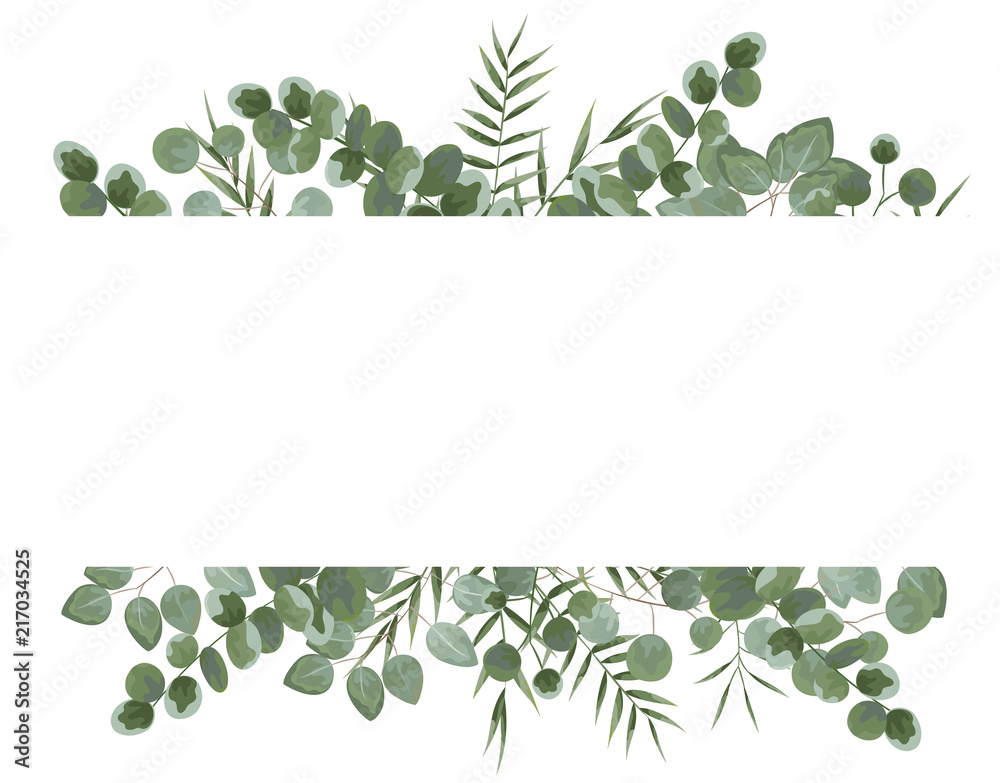 background for text from eucalyptus. gray and green eucalyptus.invitation, postcard with eucalyptus. rustic style, Botanical style. burp with greens. vector illustration - obrazy, fototapety, plakaty 