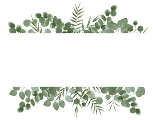 Wall Mural - background for text from eucalyptus. gray and green eucalyptus.invitation, postcard with eucalyptus. rustic style, Botanical style. burp with greens. vector illustration