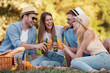 © ivanko80 - Happy friends on picnic in park