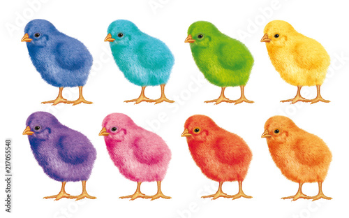 Poussin Joli Coloré Couleur Duveteux Illustration