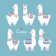 Lama alpaca or guanaco graphic elements. Isolated vector objects, flat design