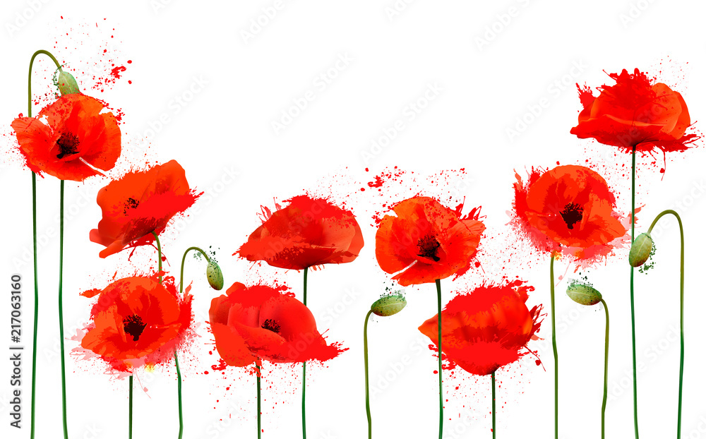 Beautiful abstract  background with red poppies flowers. Vector. - obrazy, fototapety, plakaty 