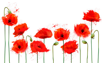 Beautiful abstract  background with red poppies flowers. Vector.