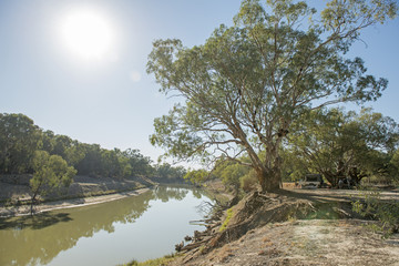 Wall Mural - the darling river near the new south wales town of wilcannia.