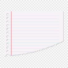 Portion Of The Sheet Of Paper In A Line Isolated On A Transparent Background. Vector Element For Your Design.