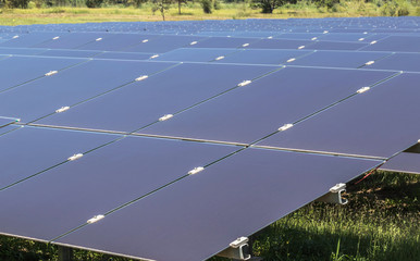 Wall Mural - array of thin film solar cells or amorphous silicon solar cells in solar power plant