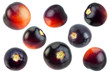 Black violet cherry tomatoes collection