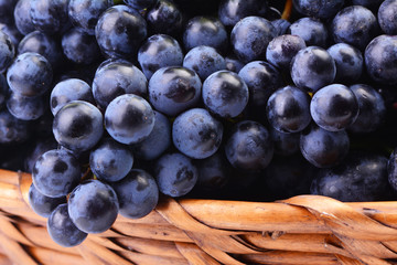 Poster - Grapes, this year's harvest