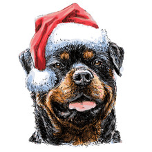 Rottweiler With Santa Claus Hat