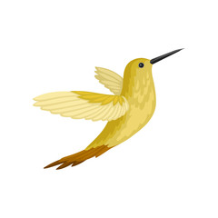 Sticker - Small tropical bird in flying action. American hummingbird with long beak and yellow-brown plumage. Flat vector design